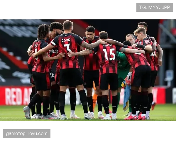 伯恩茅斯樱桃迎甜蜜秋季，球迷盼新赛季稳步攀升