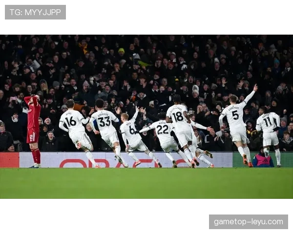 英超奇兵闪耀赛场：替补球员稳健发挥助球队逆转战局